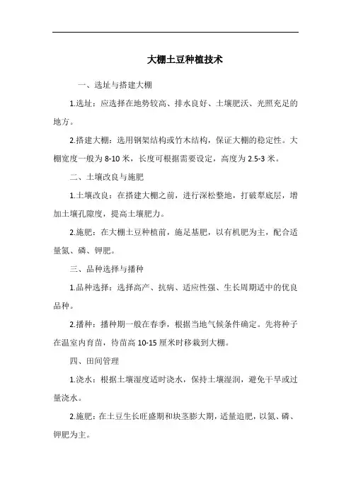 大棚土豆种植技术
