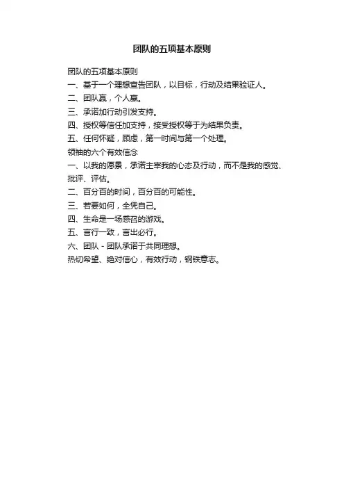 团队的五项基本原则