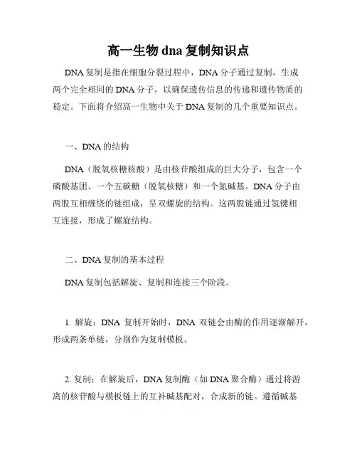 高一生物dna复制知识点