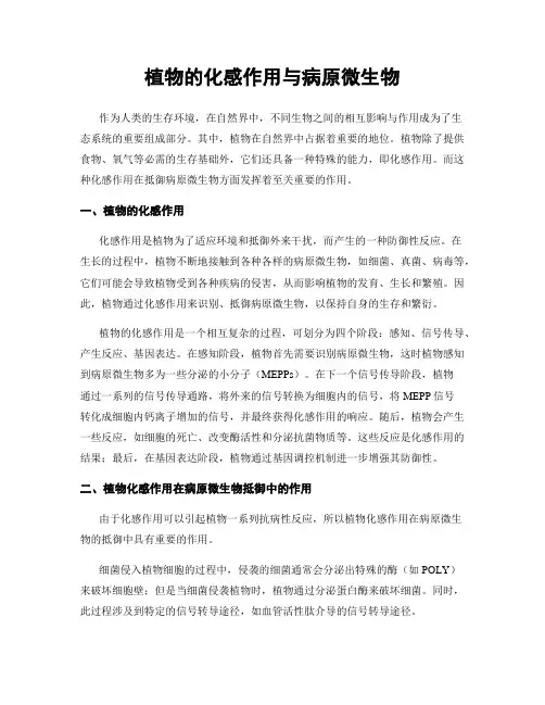 植物的化感作用与病原微生物