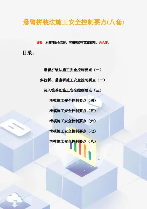 悬臂拼装法施工安全控制要点(八套)