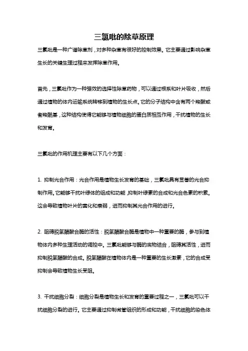 三氯吡的除草原理