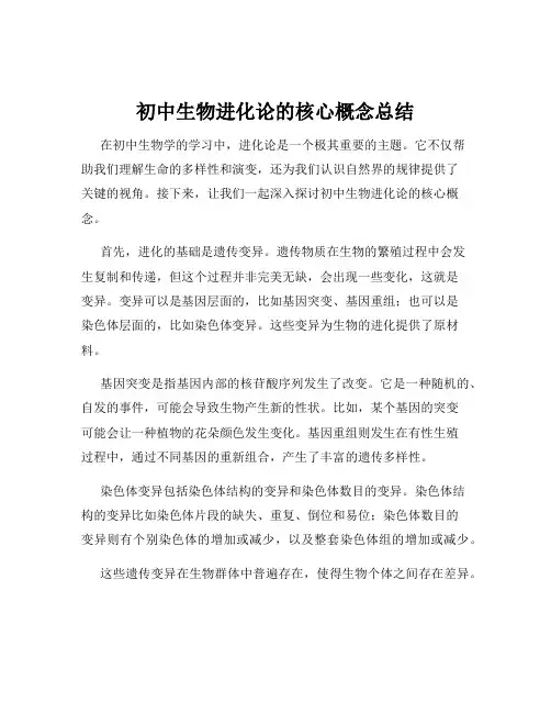 初中生物进化论的核心概念总结