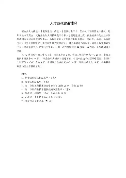 人才载体建设情况