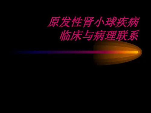 原发性肾小球疾病PPT医学课件