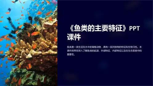 《鱼类的主要特征》课件