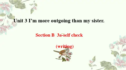 Unit3 Section B 3a-selfcheck(英语写作课)