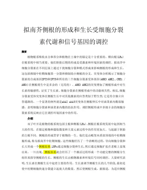 拟南芥侧根——精选推荐