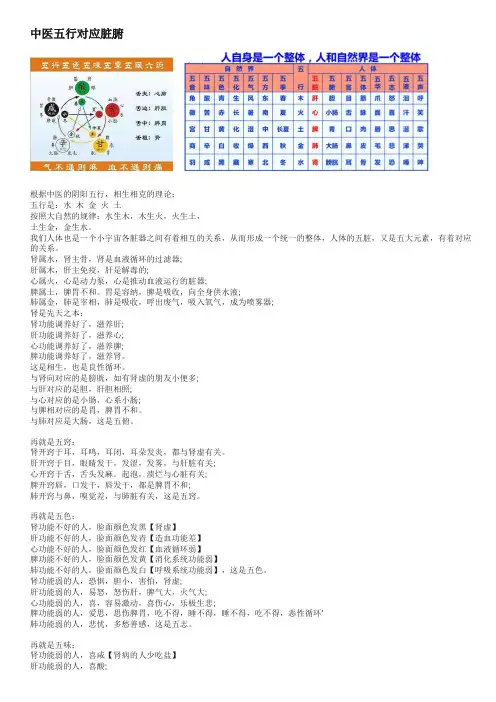 中医五行对应脏腑