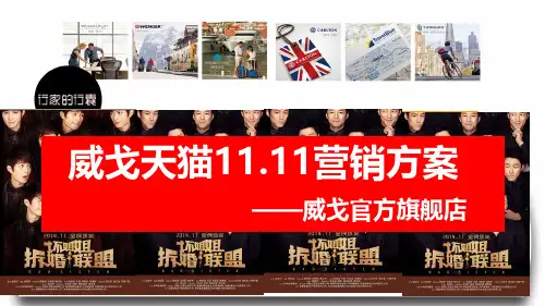 威戈箱包天猫官方旗舰店双十一方案修改_8191