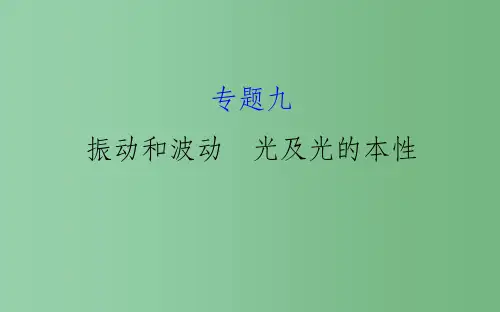 高三物理二轮复习 第一篇 专题攻略 专题九 震动和波动 光和光的本性课件