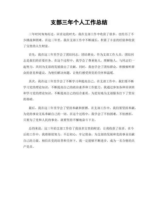 支部三年个人工作总结