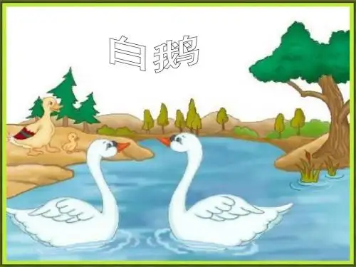 语文人教版四年级上册白鹅课件.ppt