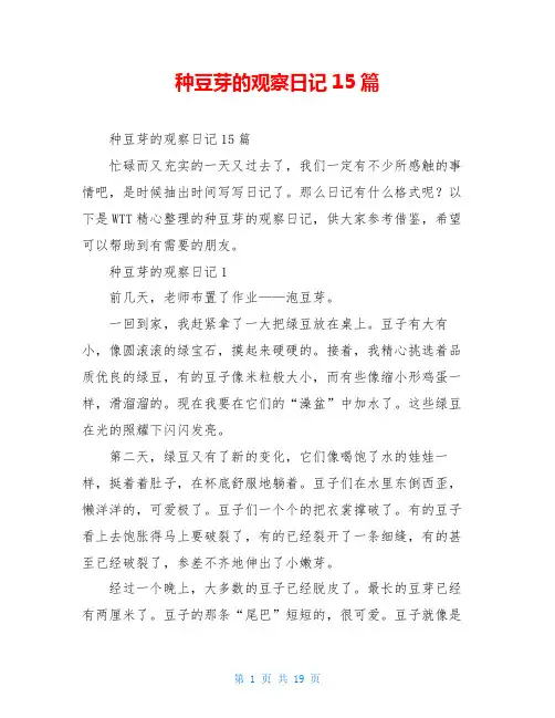 种豆芽的观察日记15篇