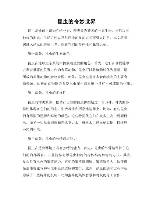 昆虫的奇妙世界