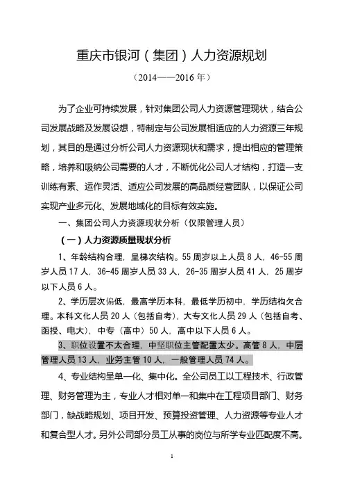 重庆银河集团2013-2016人力资源规划