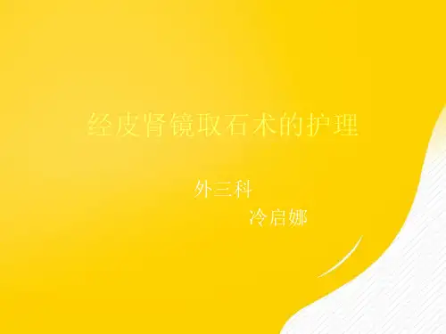 经皮肾镜取石术优秀PPT资料