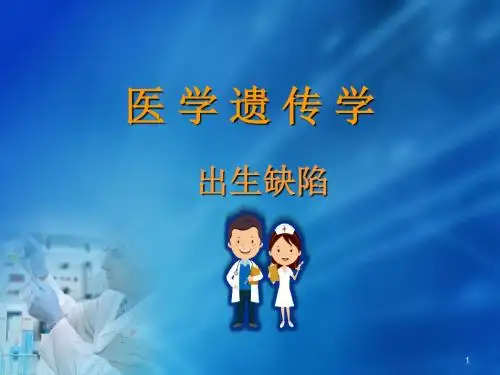 出生缺陷PPT培训课件