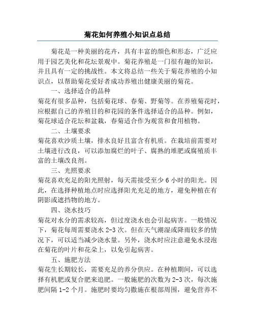 菊花如何养殖小知识点总结
