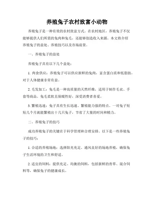 养殖兔子农村致富小动物