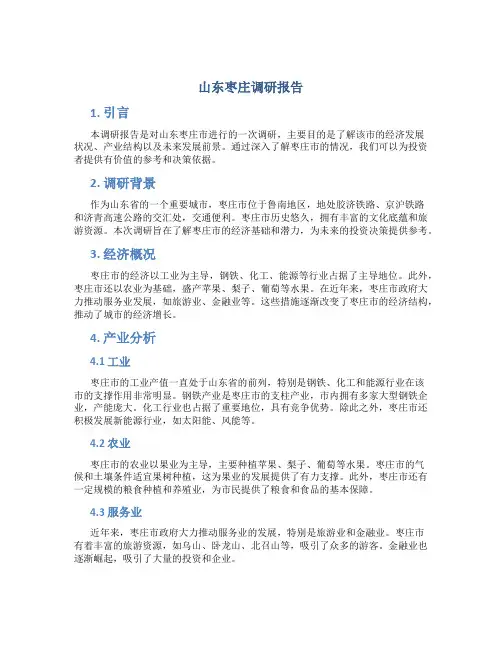 山东枣庄调研报告