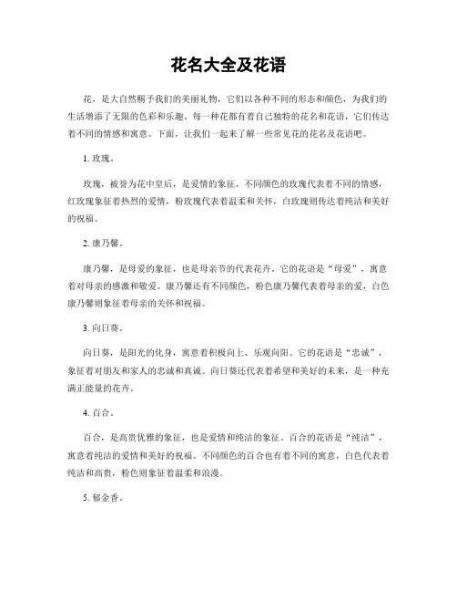 花名大全及花语
