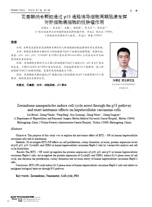 花姜酮纳米颗粒通过p53通路诱导细胞周期阻滞发挥对肝细胞癌细胞的抗肿瘤作用