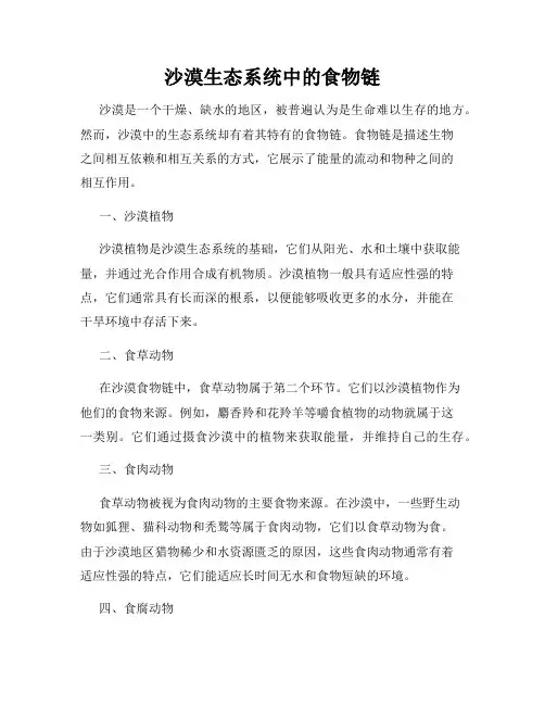 沙漠生态系统中的食物链
