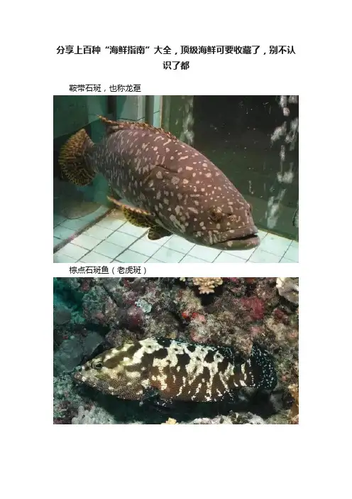 分享上百种“海鲜指南”大全，顶级海鲜可要收藏了，别不认识了都