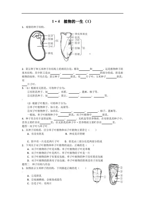 浙教版科学七年级下册第一章第四节-植物的一生-练习(有答案)