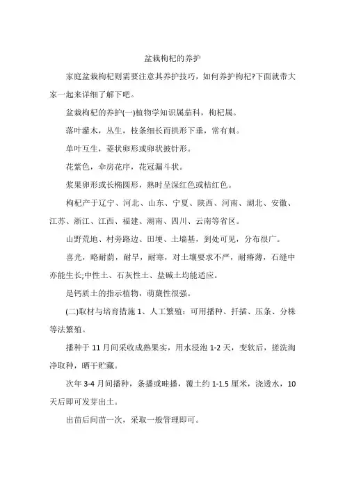 盆栽枸杞的养护