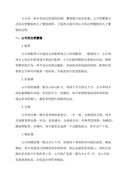 山羊如何进行繁殖_山羊一年下几窝