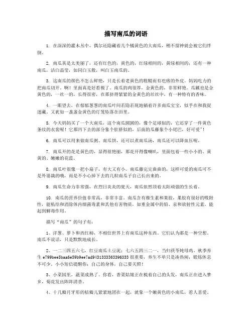 描写南瓜的词语