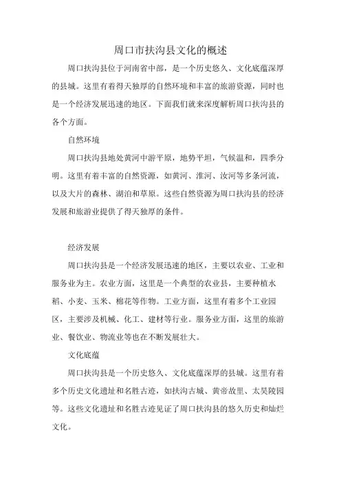周口市扶沟县文化的概述
