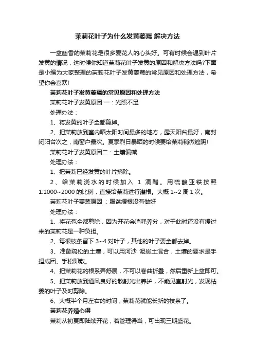 茉莉花叶子为什么发黄萎蔫解决方法