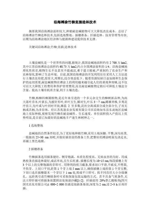 沿海滩涂竹柳直插造林技术