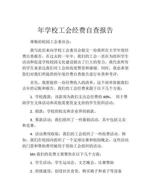 年学校工会经费自查报告