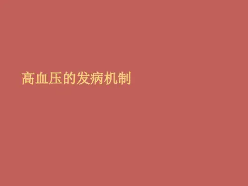 高血压的发病机制PPT课件