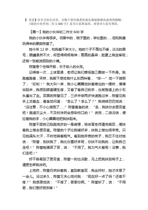 我的小伙伴初二作文600字