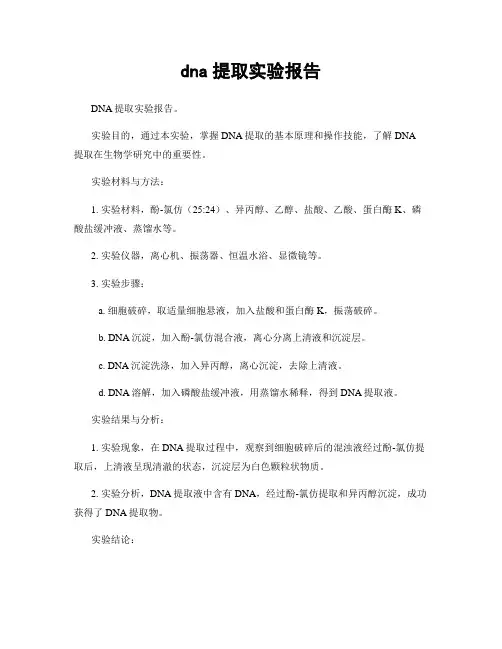 dna提取实验报告