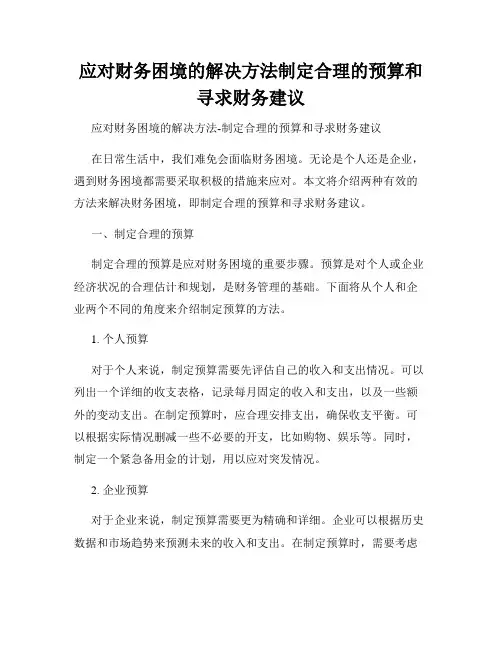 应对财务困境的解决方法制定合理的预算和寻求财务建议