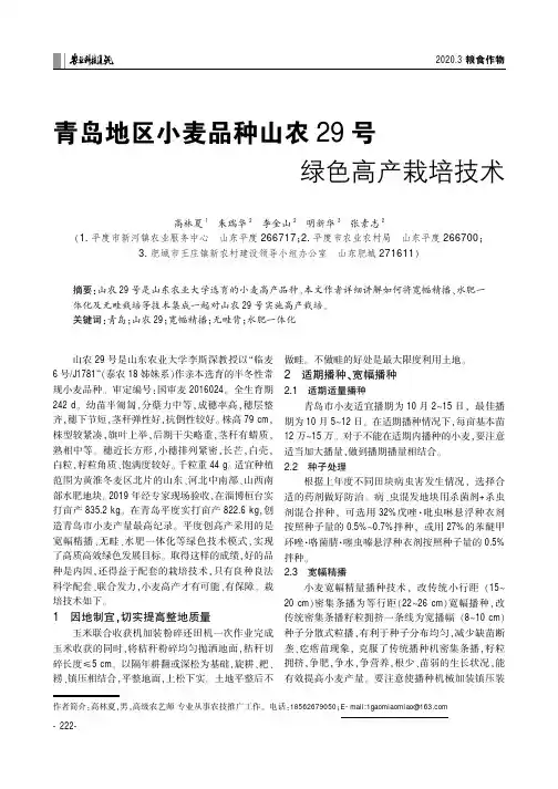 青岛地区小麦品种山农29号绿色高产栽培技术