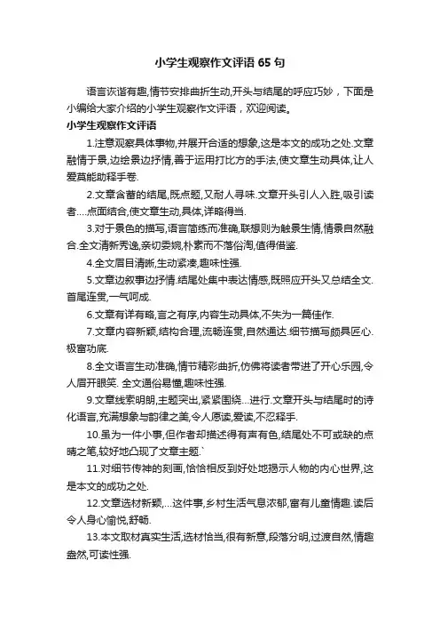 小学生观察作文评语65句