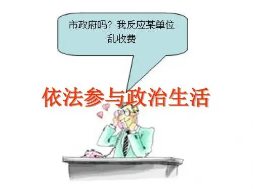 人教版九年级第六课第三框依法参与政治生活PPT