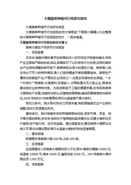 大棚蔬菜种植可行性研究报告