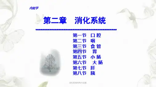 消化系统结构与功能ppt课件