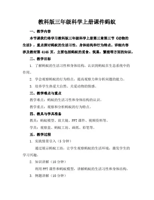 教科版三年级科学上册课件蚂蚁