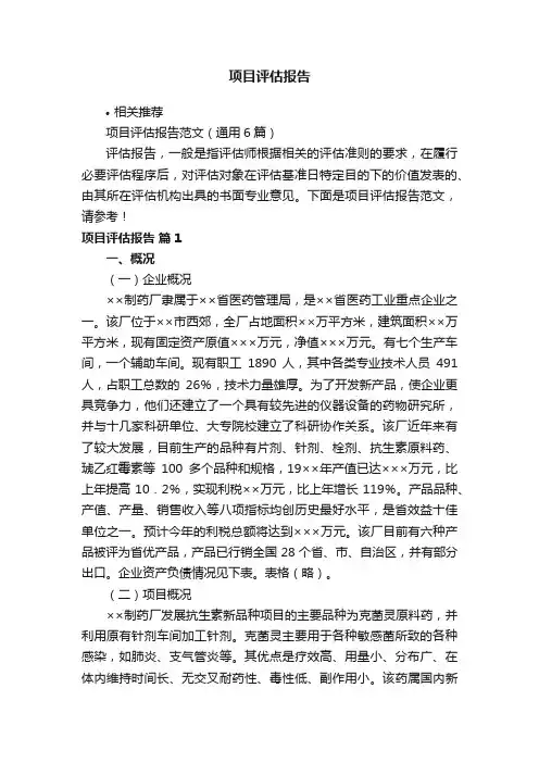 项目评估报告