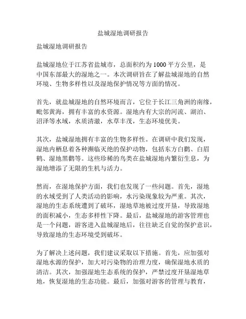 盐城湿地调研报告
