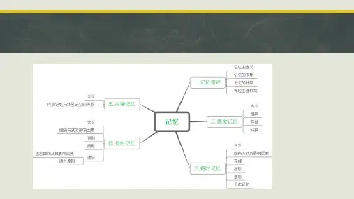 普通心理学 第七章 思维ppt课件